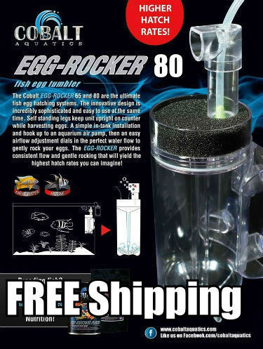 Buy EGG ROCKER 80 by Cobalt Aquatics USA