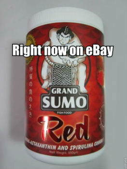 On eBay Grand Sumo Red Fish Pellets