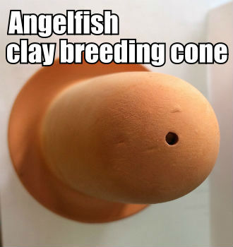 Smooth surface clay breeding cones for Angelfish